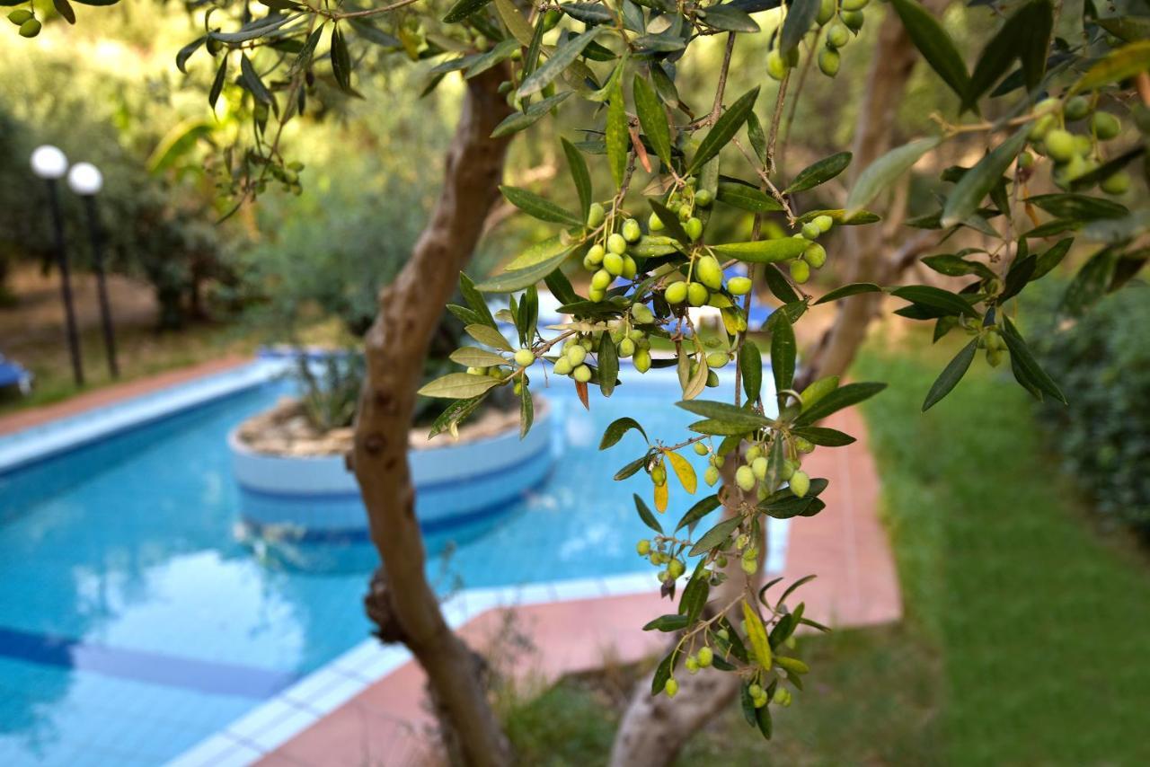 Olive Farm Villa Agia Marina Dış mekan fotoğraf