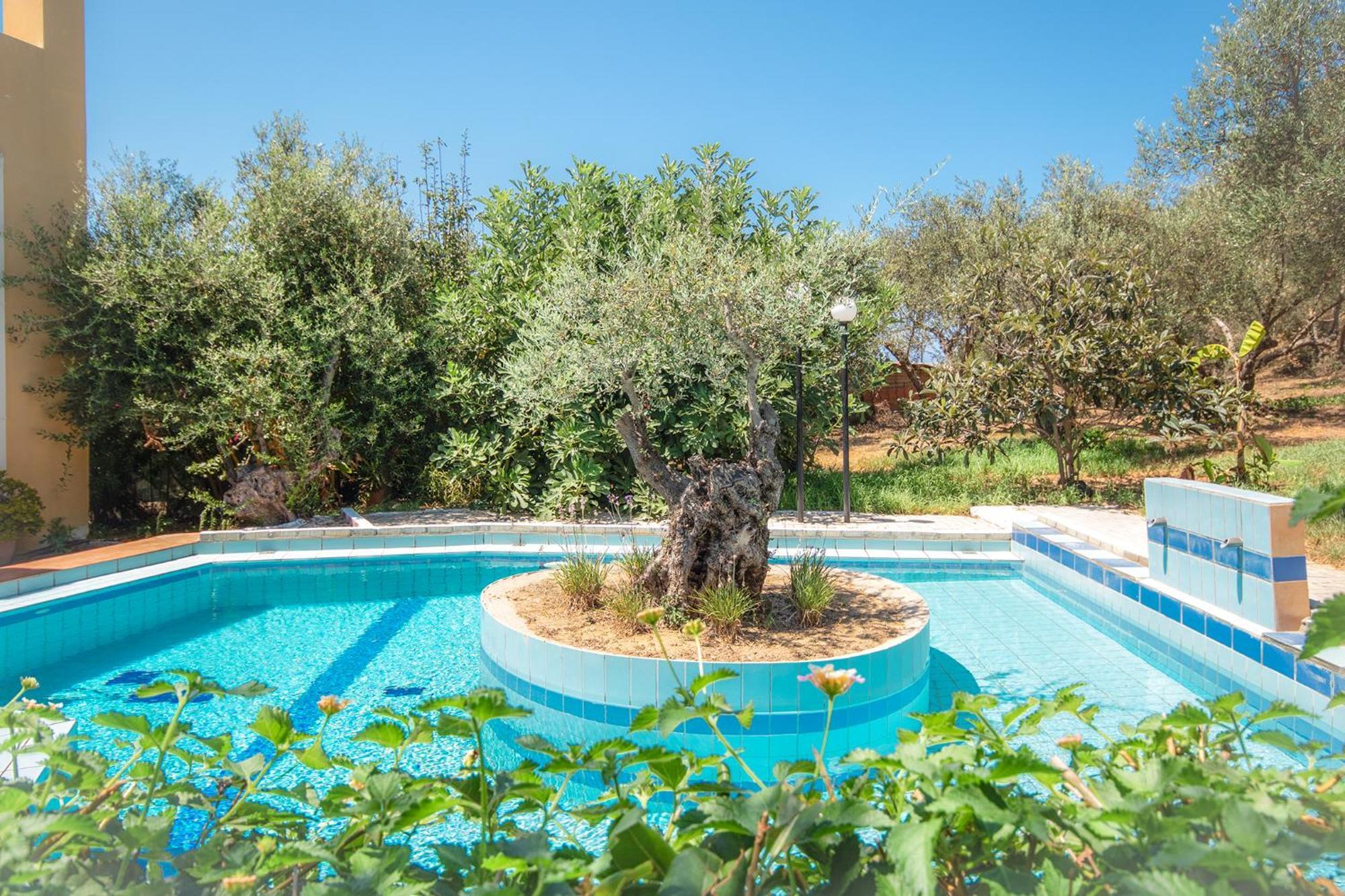 Olive Farm Villa Agia Marina Dış mekan fotoğraf