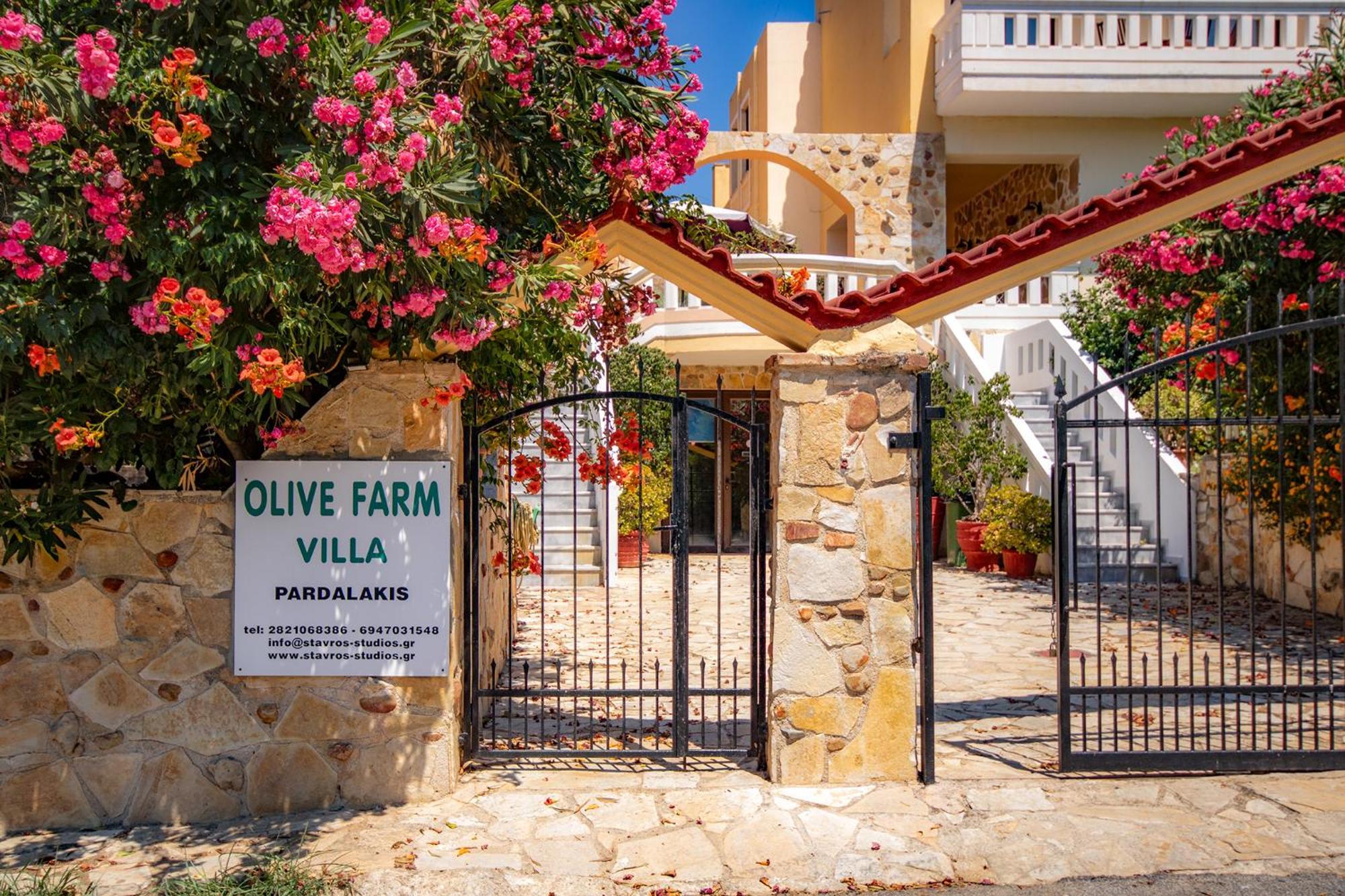 Olive Farm Villa Agia Marina Dış mekan fotoğraf